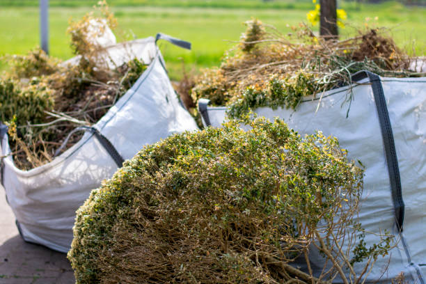 Best Moving and Downsizing Cleanouts  in Erie, IL