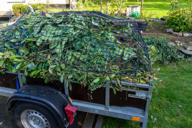 Trusted Erie, IL Junk Removal Services Experts